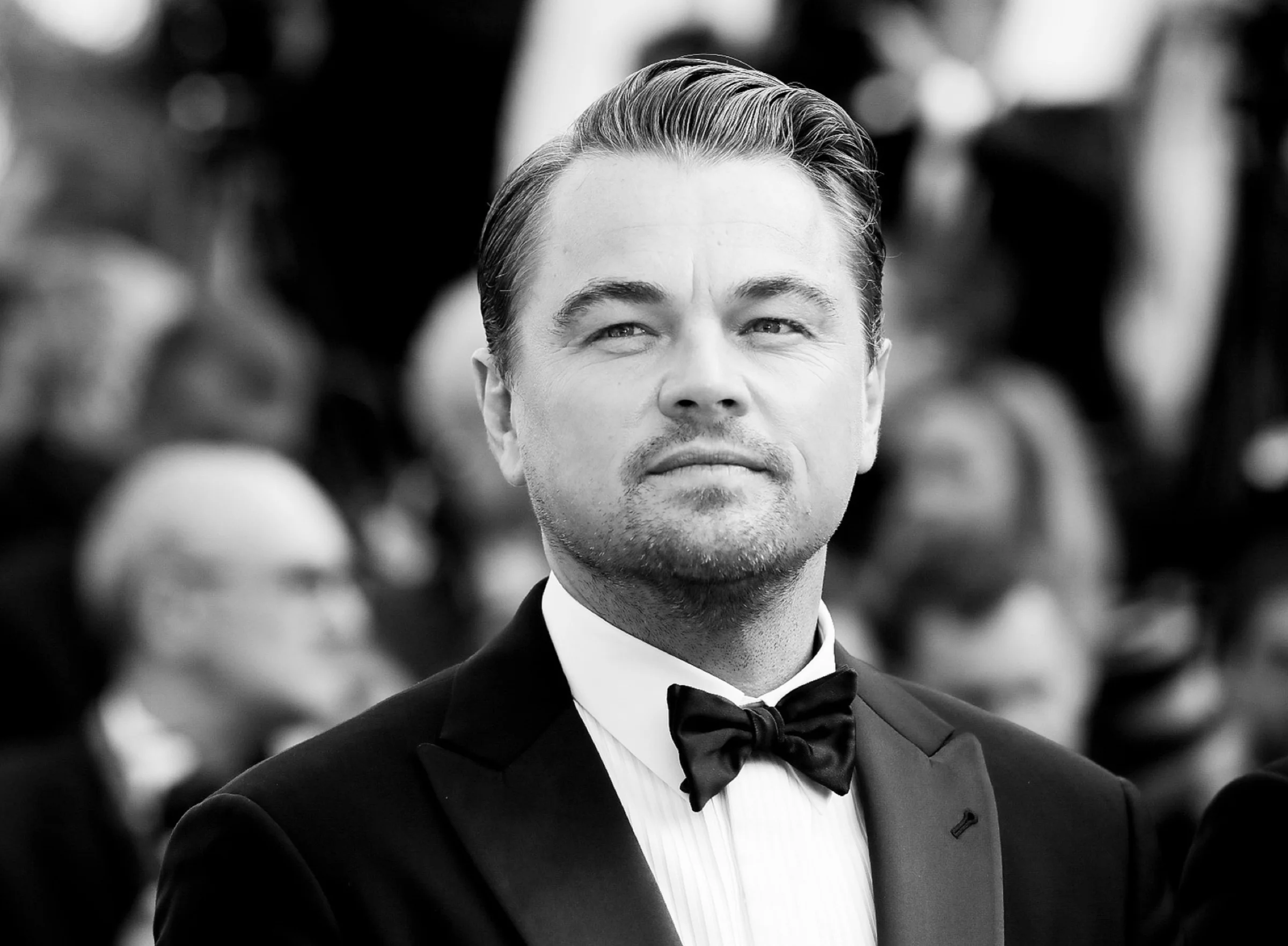 Iconic Portrait · Black Tie